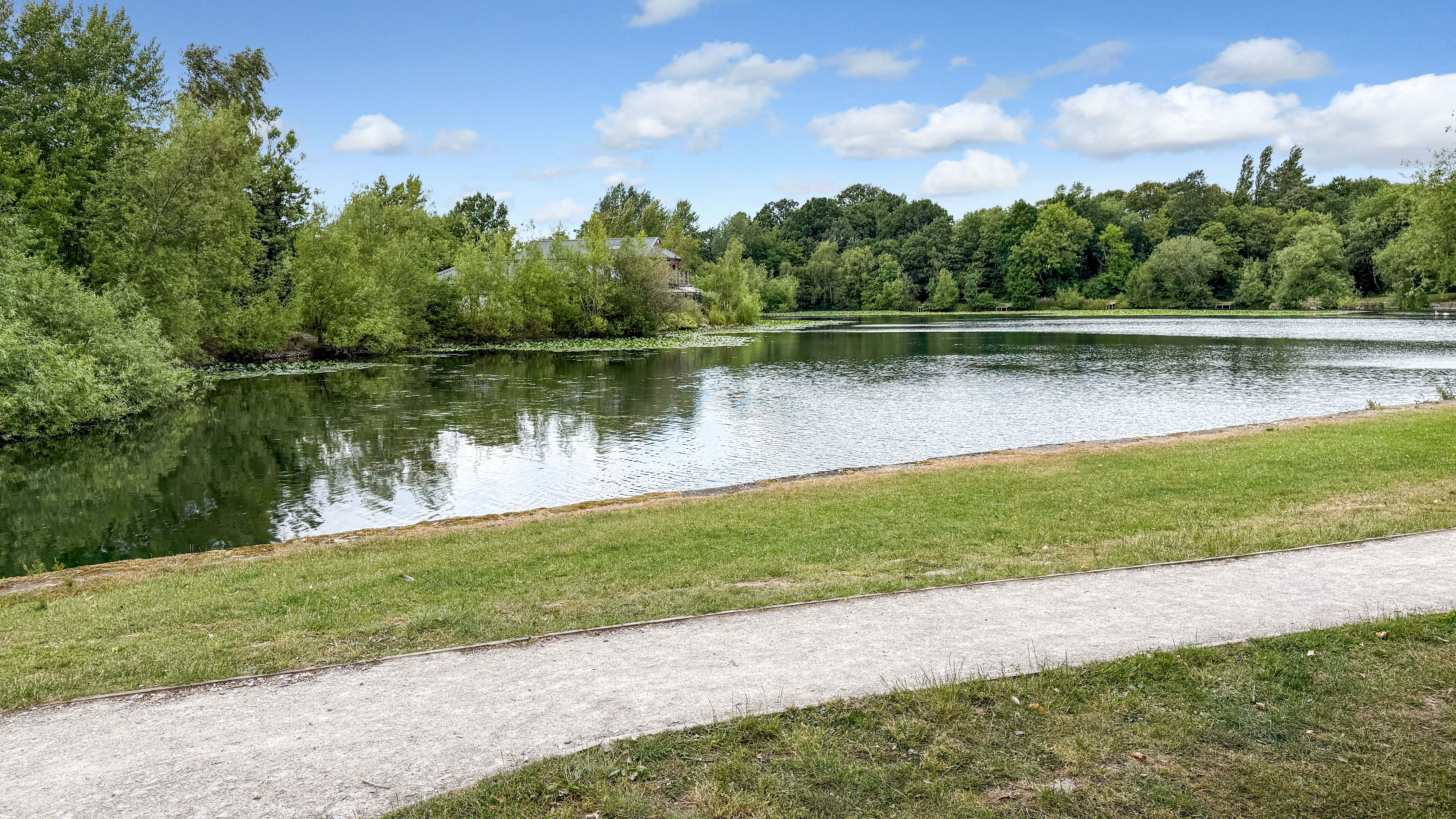 Scenic riverside landscape