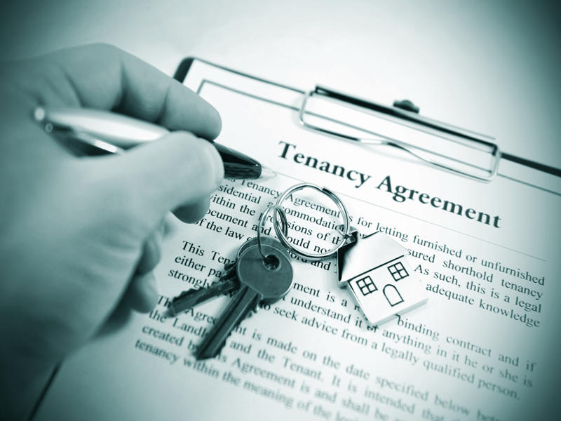 Renters Rights Act Update