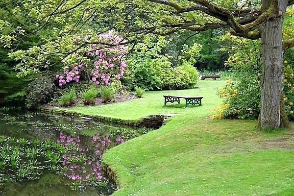 Garden with lawn, flowering shrubs, trees, and a wooden bench beside a small pond