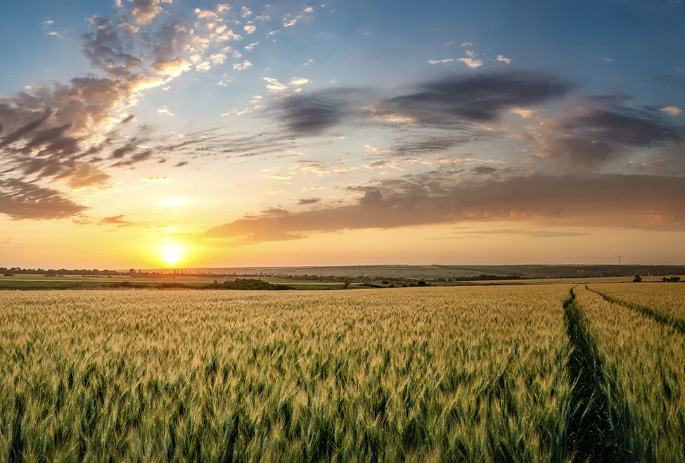 Agricultural services south Wales