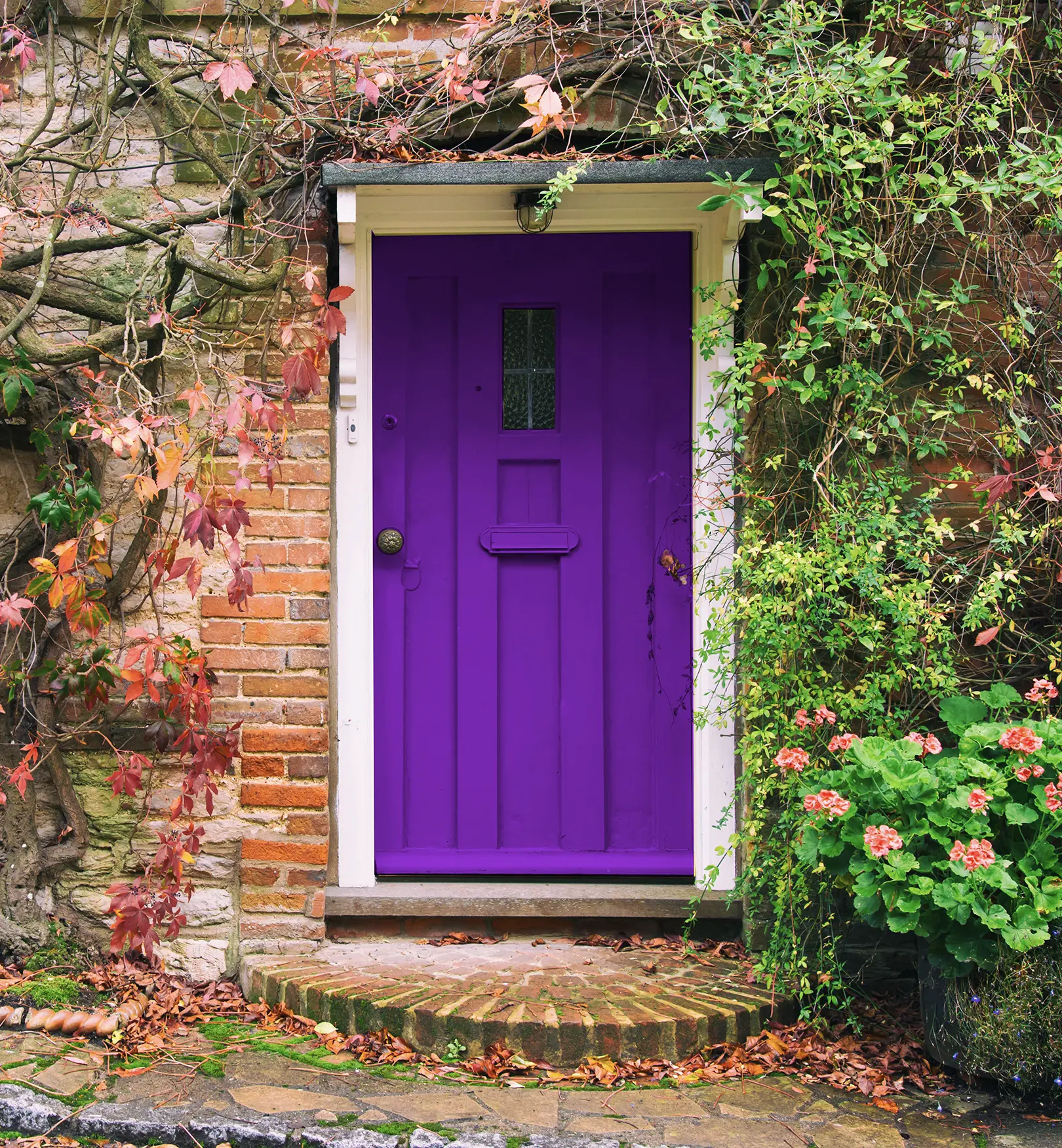 local estate agent - south Wales