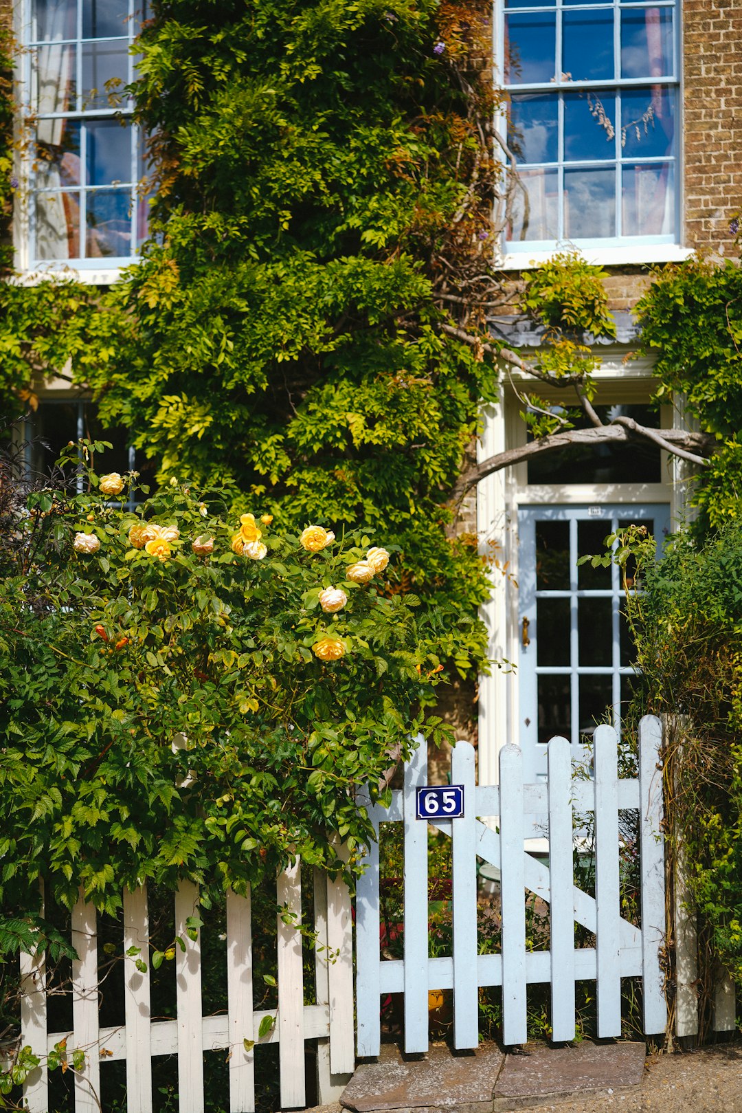 White wooden fence with green leaves