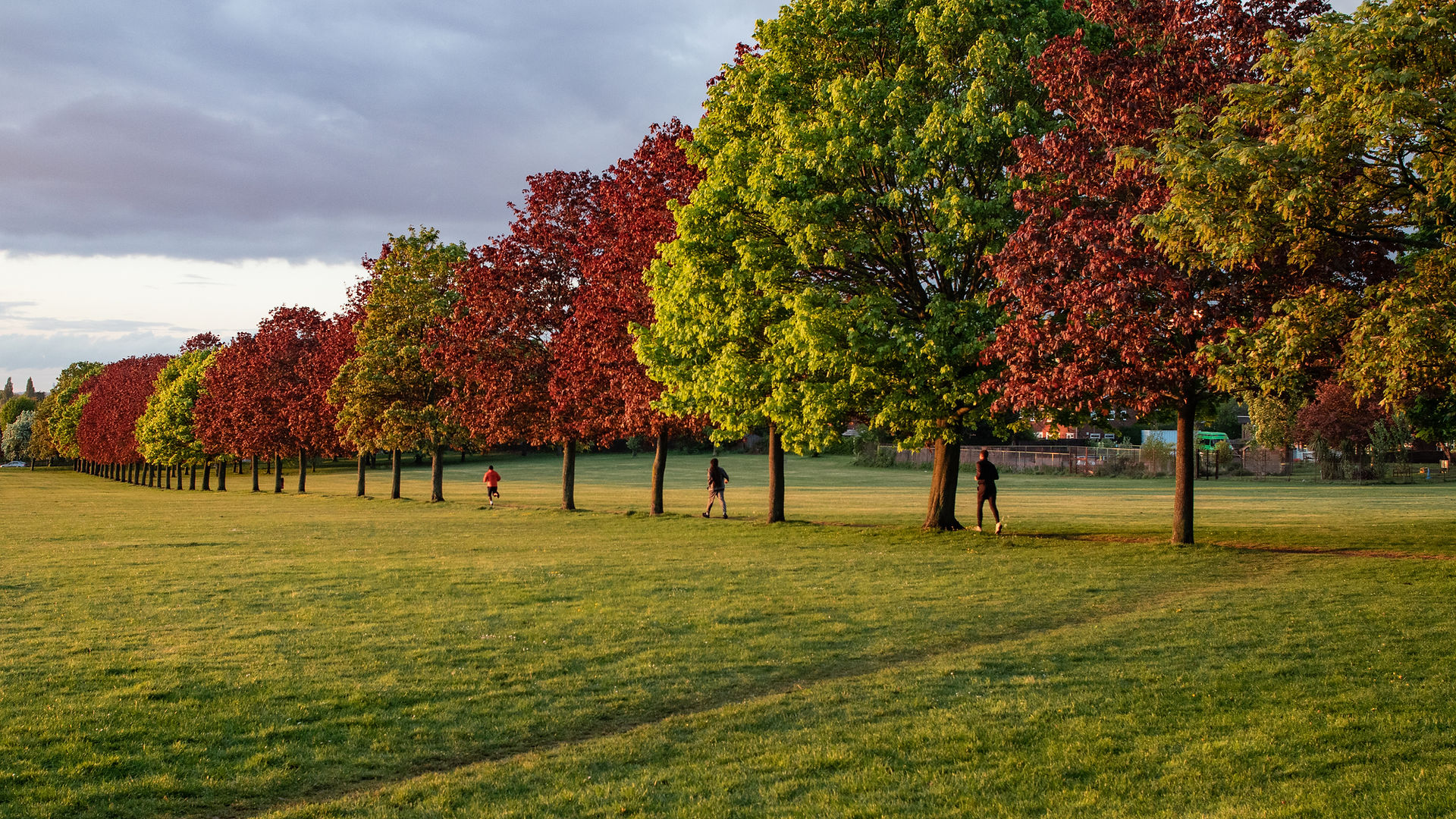 Vibrant autumn park with red and golden trees