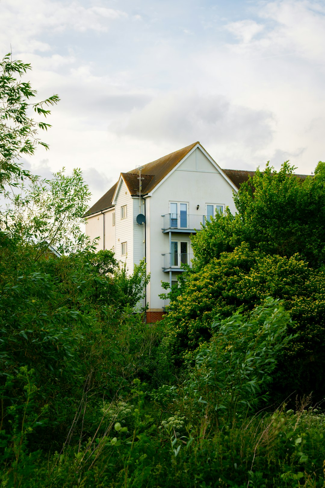 Canterbury-style house through trees