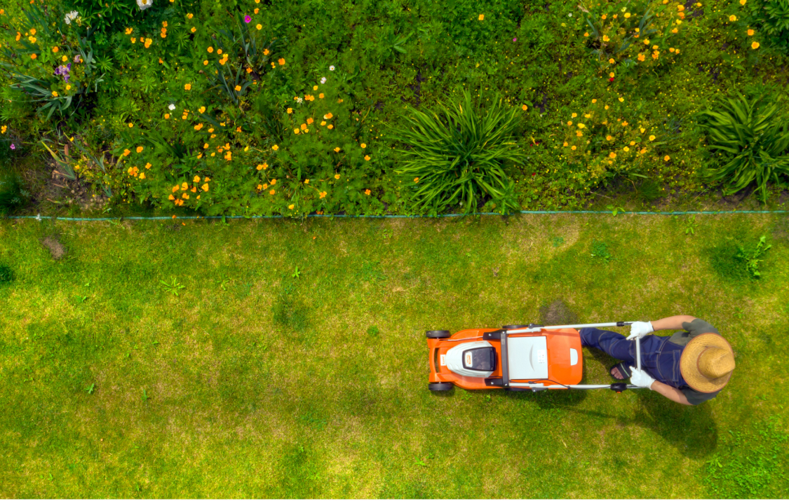 Spring Gardening Trends