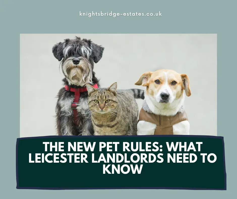 The New Pet Rules: What Leicester Landlords Need to Know