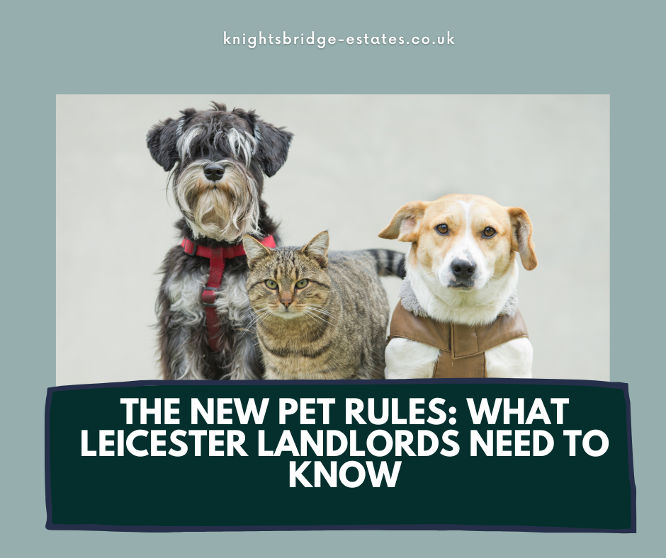The New Pet Rules: What Leicester Landlords Need to Know