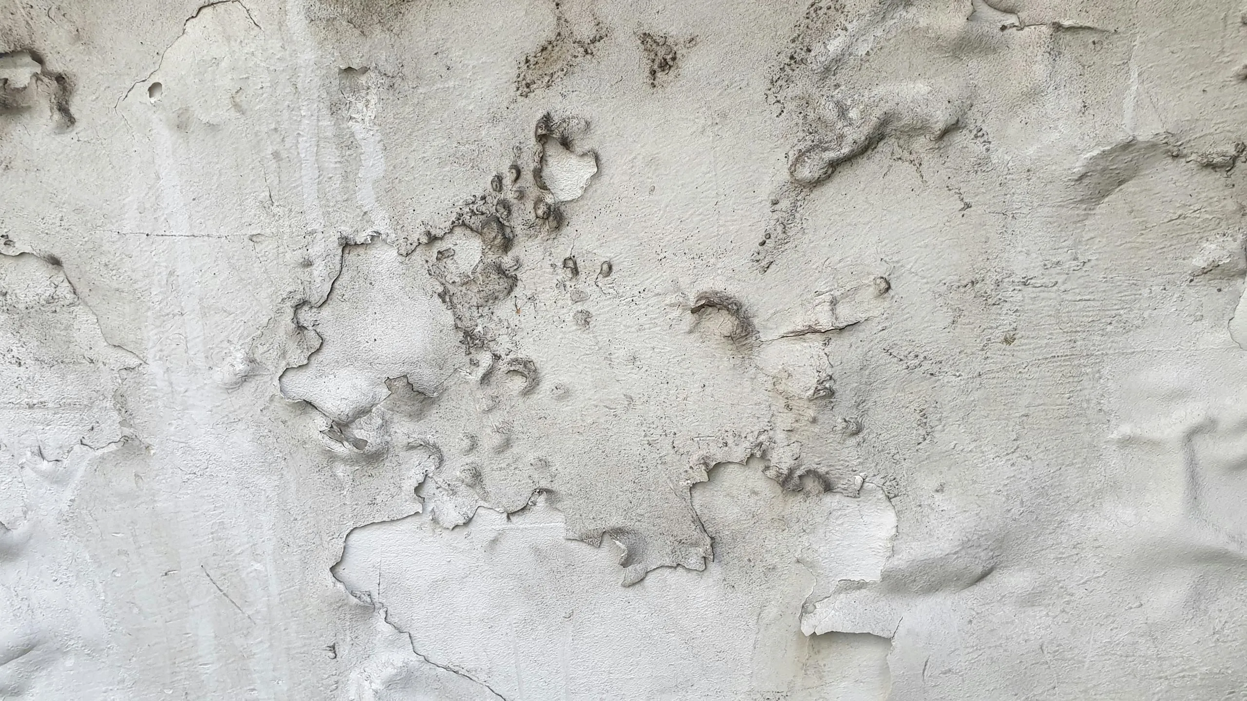 Damp & Structural Specialists - Studio Collective