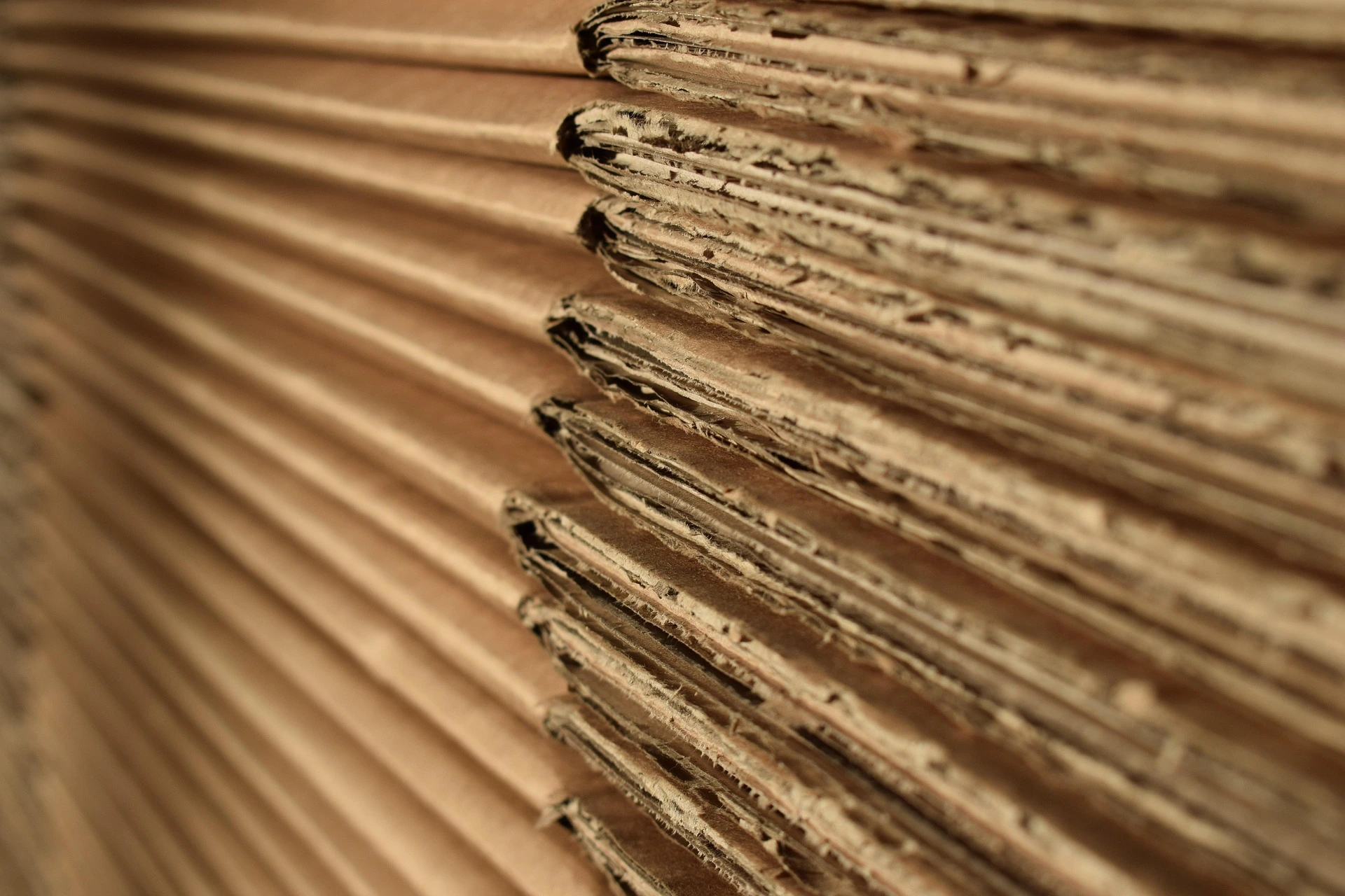 Removals & Clearances - Studio Collective