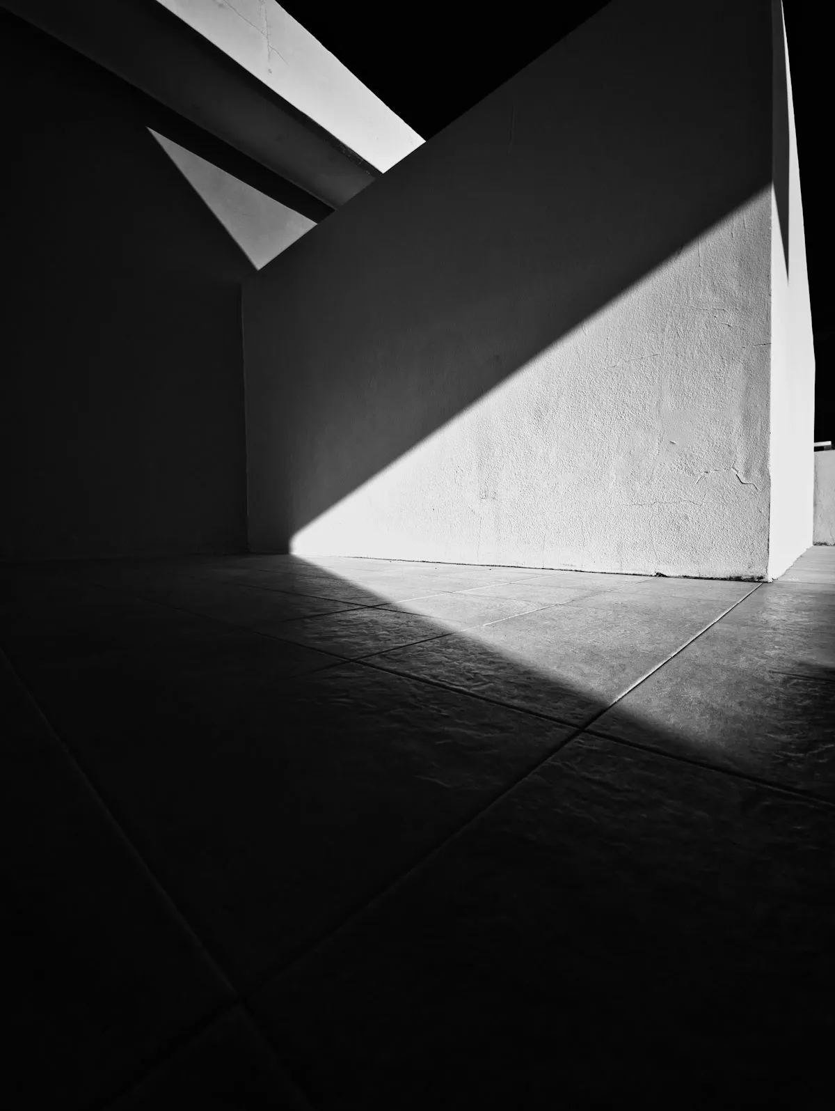 Sharpshadow on a concrete wall