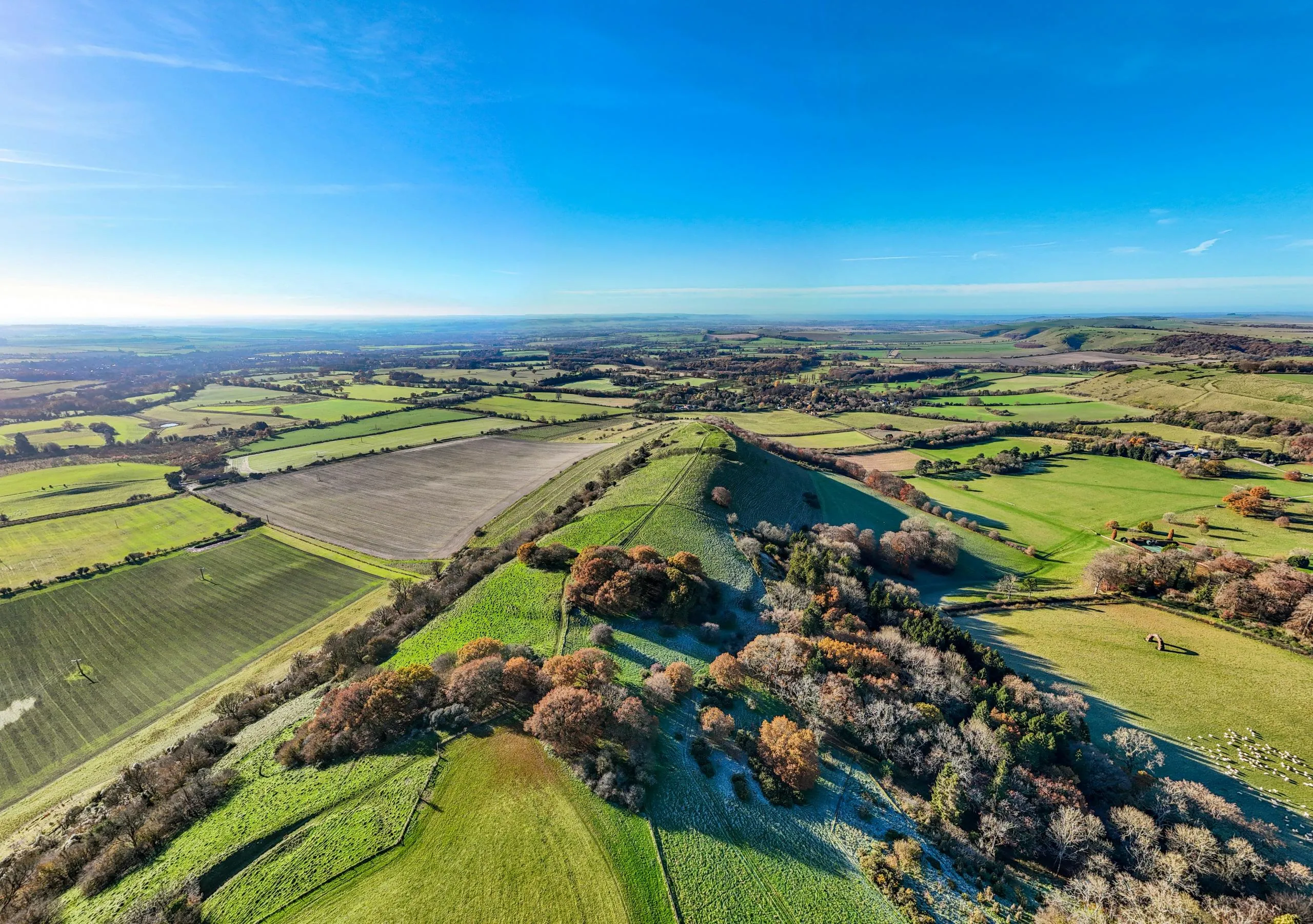 Aerial view of rolling green farmland with hedgerows and woodland under a clear sky