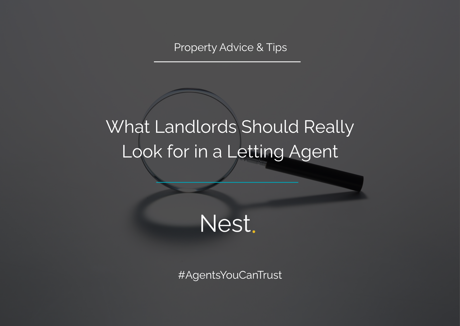 What Landlords Should Really Look for in a Letting Agent