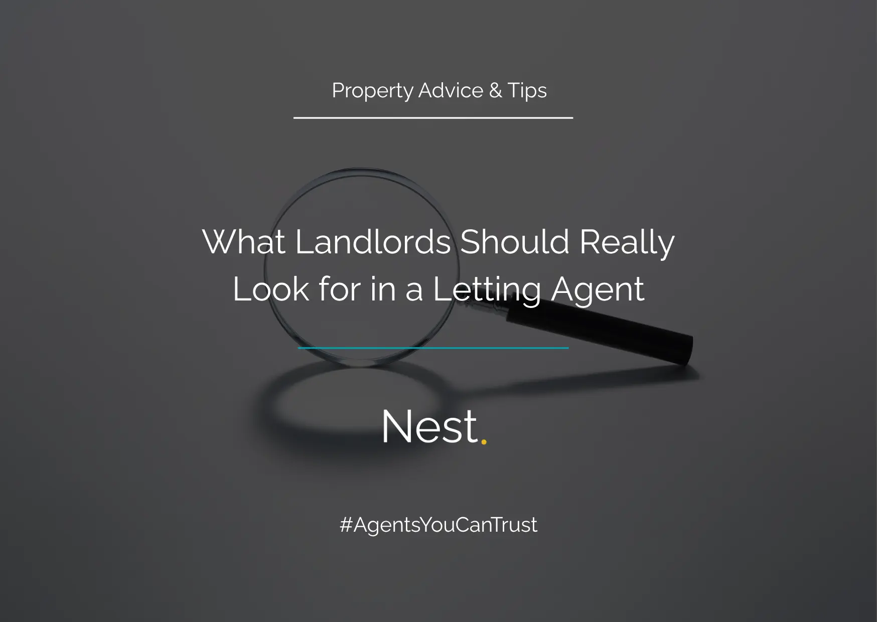 What Landlords Should Really Look for in a Letting Agent
