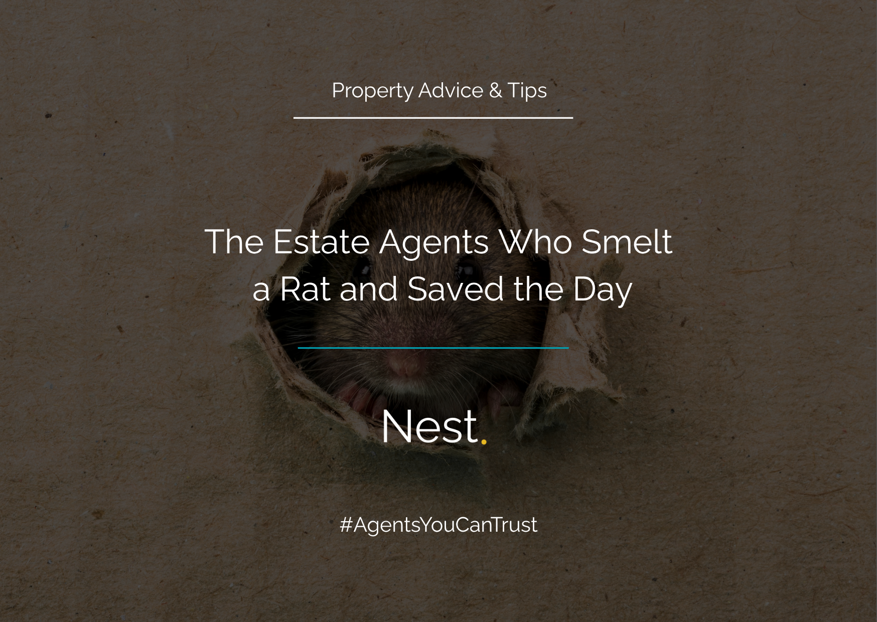 The Estate Agents Who Smelt a Rat and Saved the Day