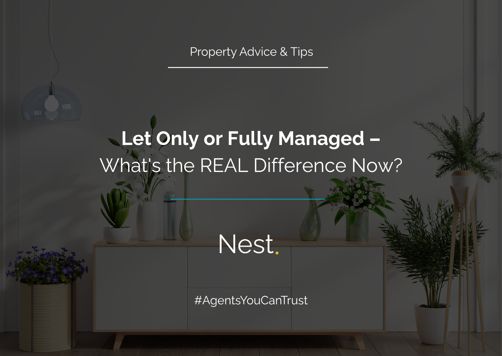 Let Only or Fully Managed – What's the REAL Difference Now?
