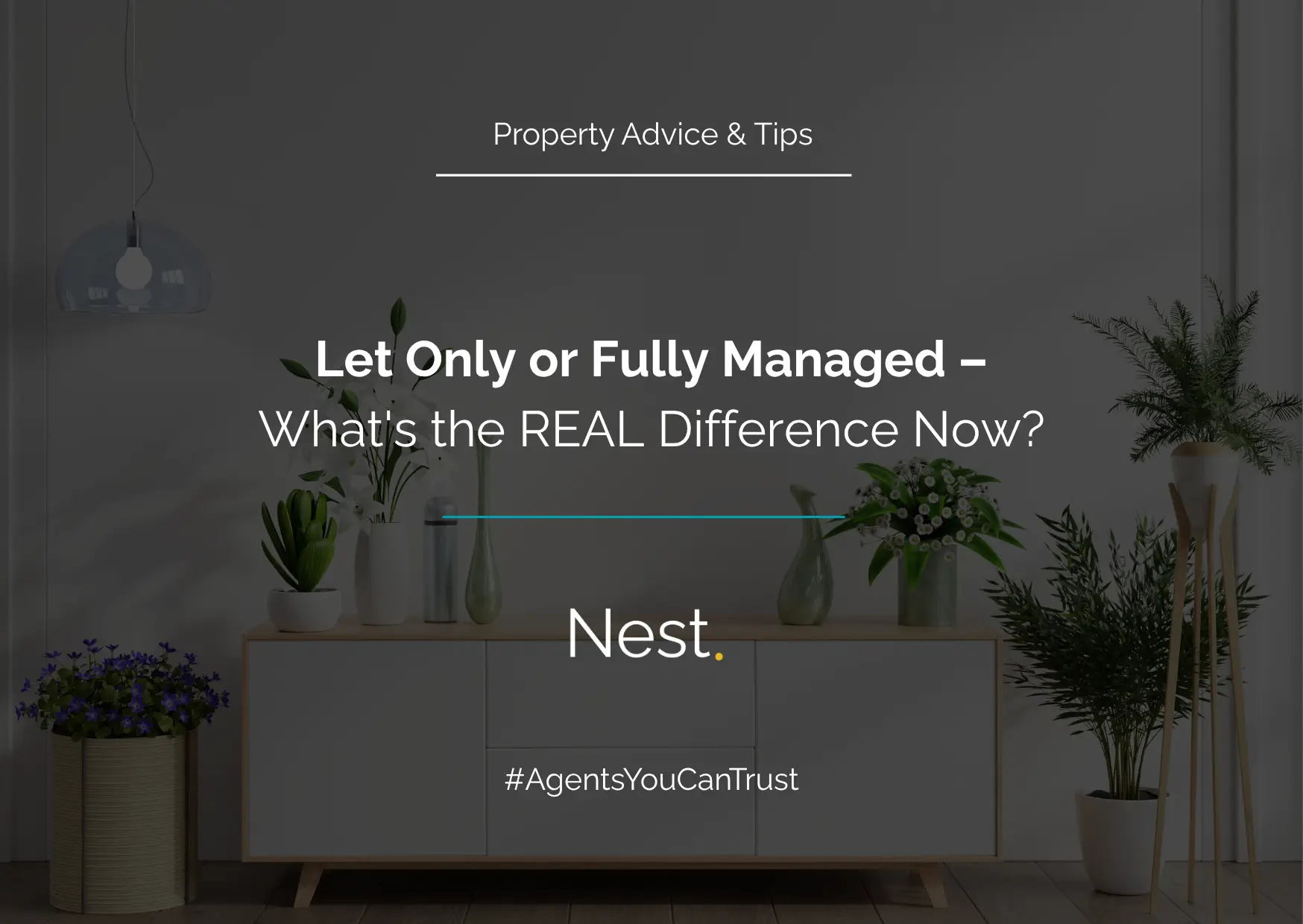 Let Only or Fully Managed – What's the REAL Difference Now?