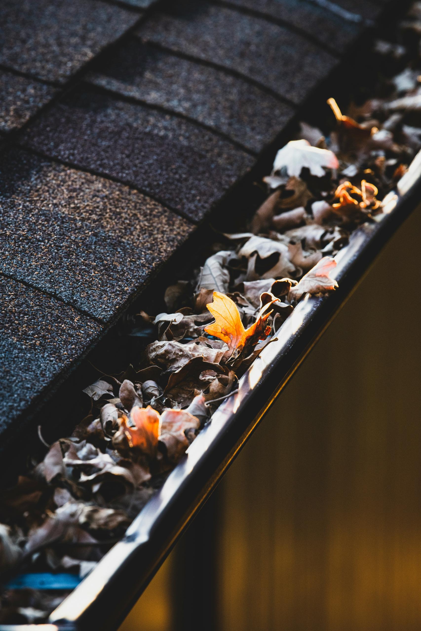 jon-sailer-0Ci7ikrZB1g-unsplash