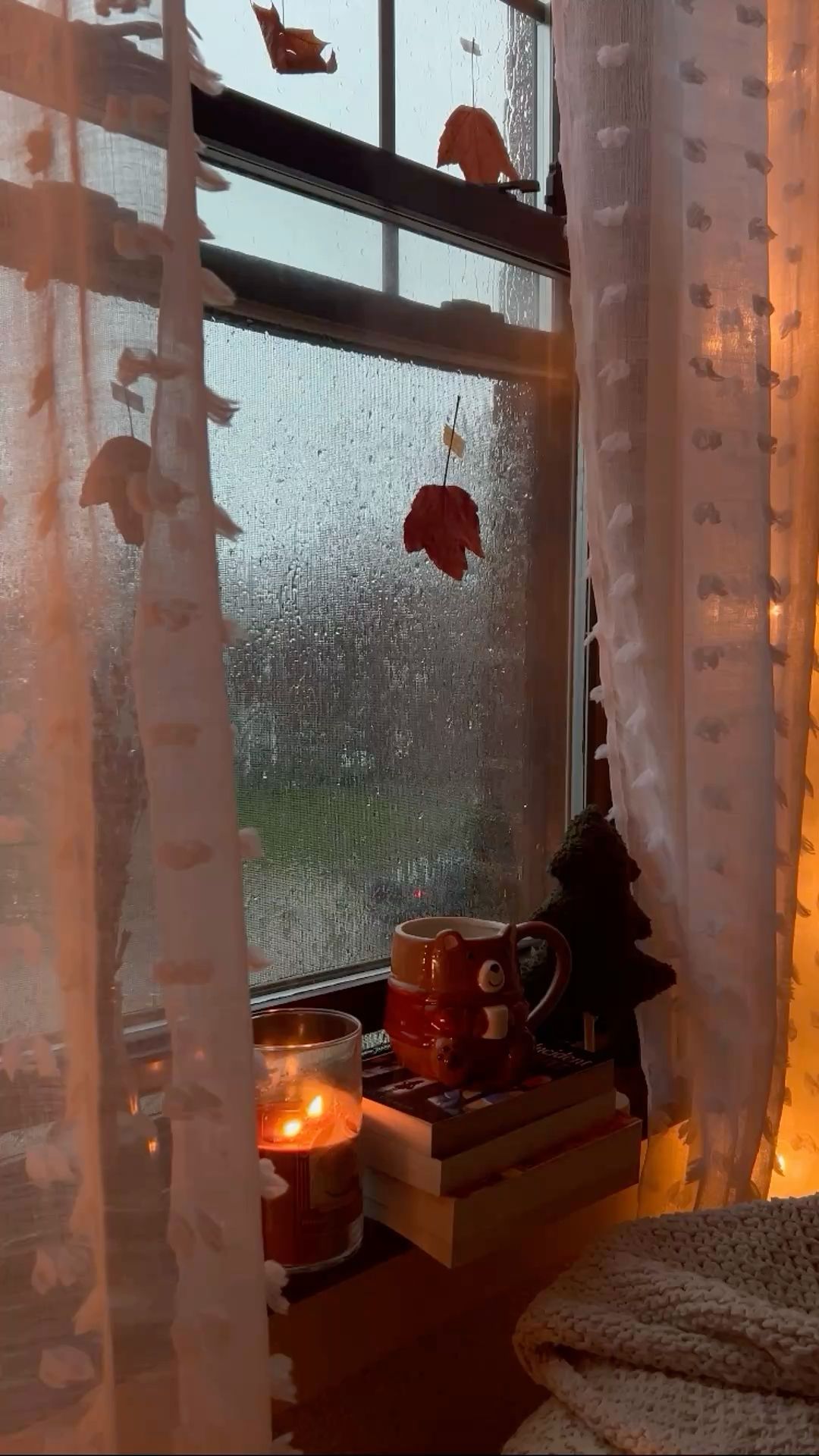 How Tenants Can Prevent Damp and Mould Before Autumn Arrives
