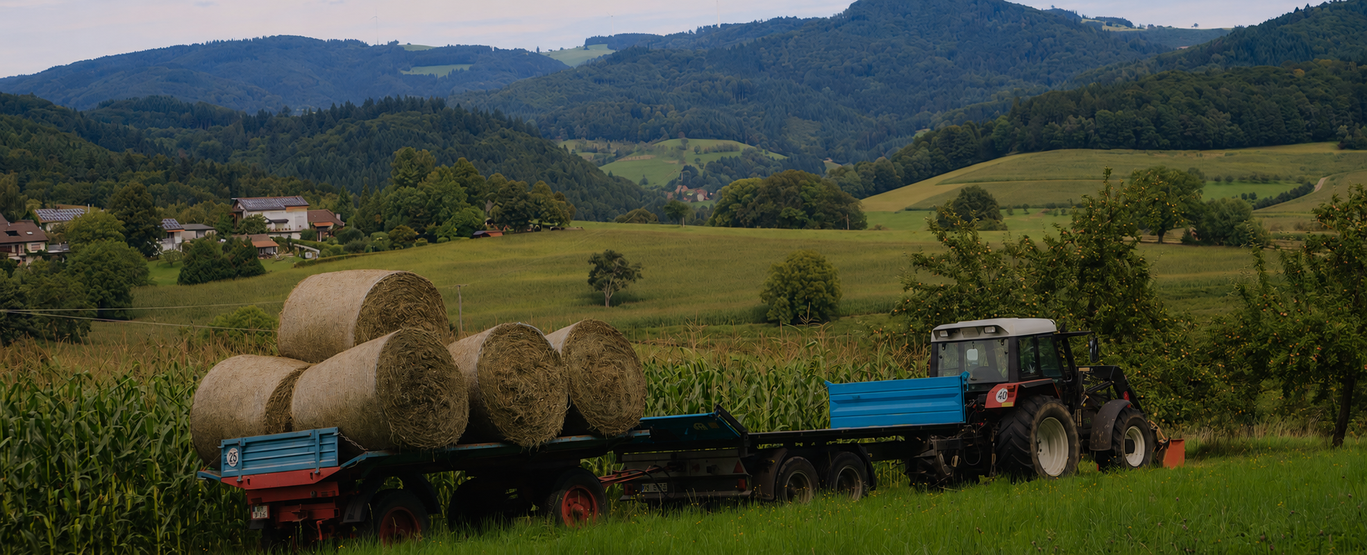 DEFRA Grant Funding – Are you ready?