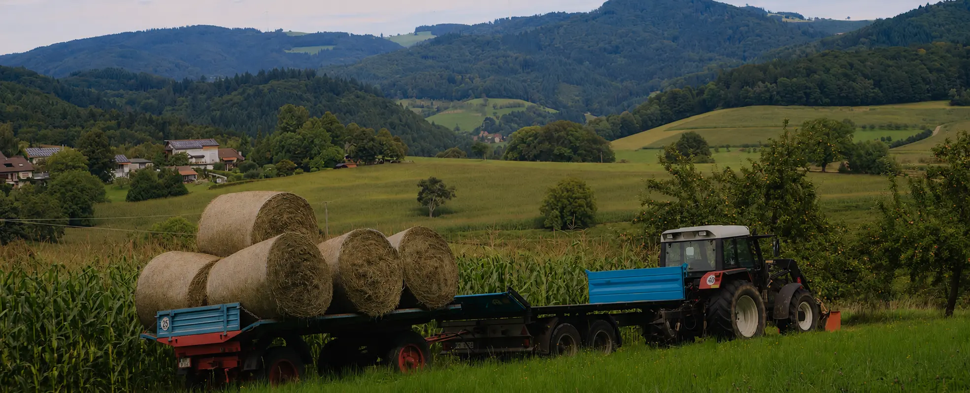 DEFRA Grant Funding – Are you ready?