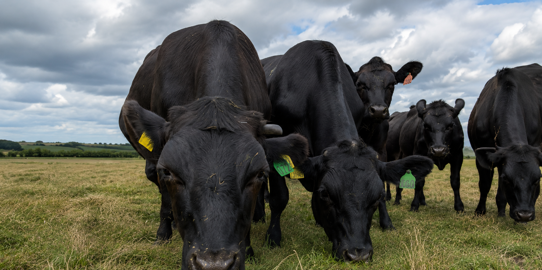 Farming grants 2026 – what you need to know