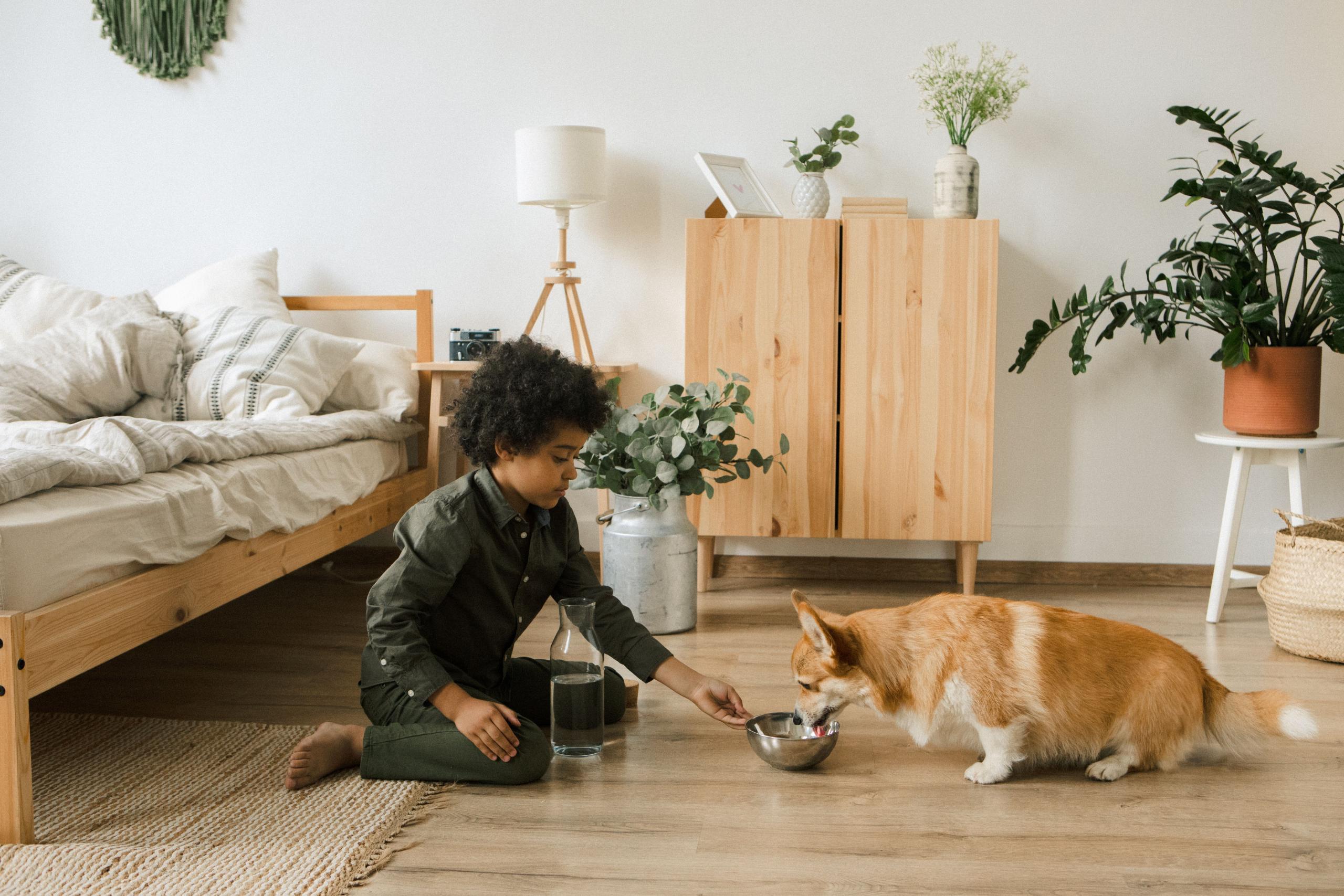 🐾 Pets in Rentals– What You Need to Know Before You Say Yes to a Pet