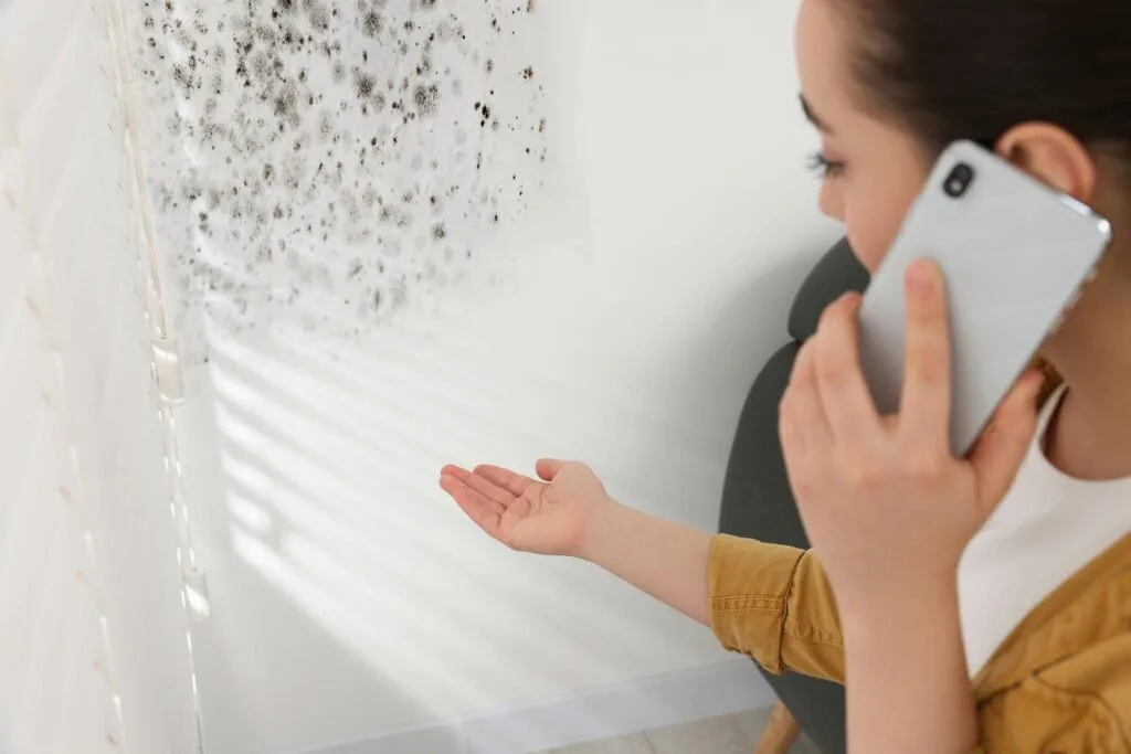 What Should You Do If You Spot Damp or Mould in Your Home?