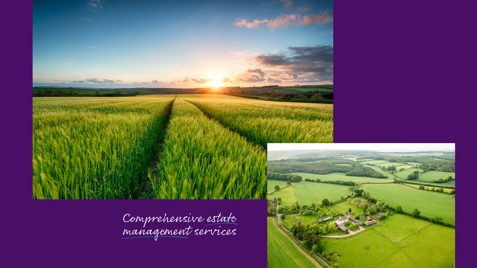 comprehensive estate management services