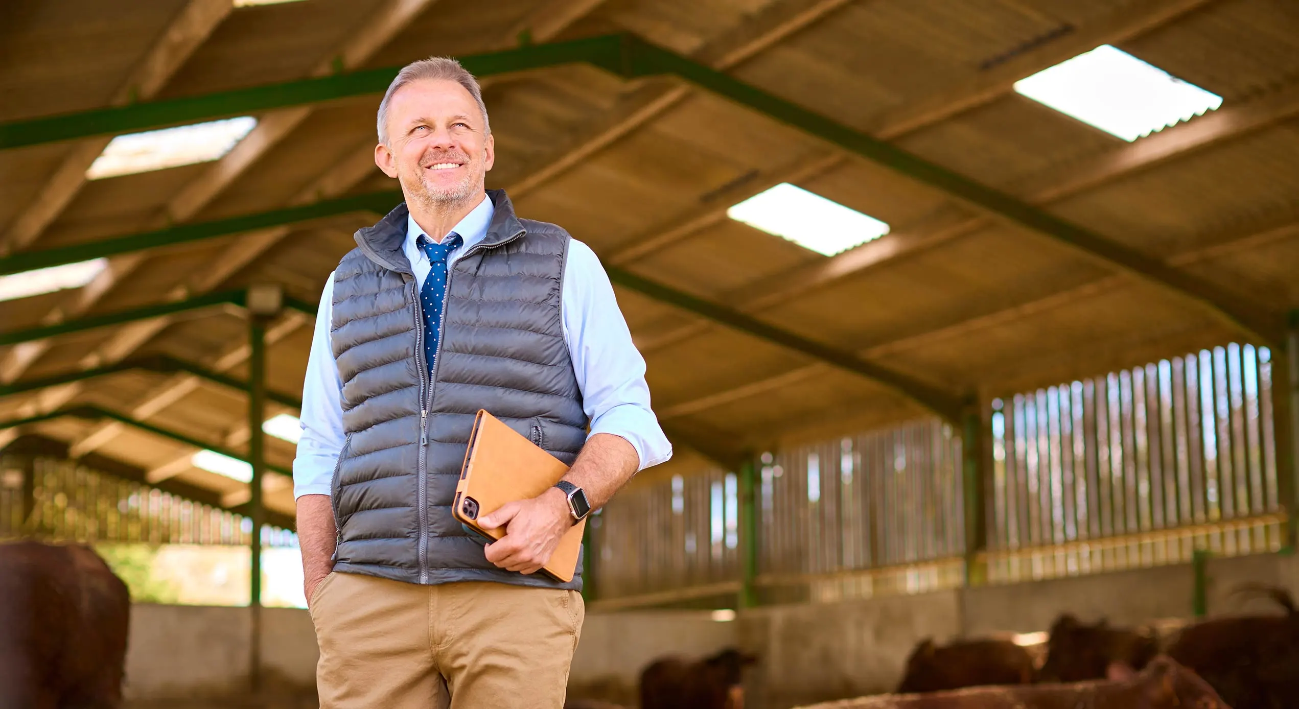 Man holding a tablet standing in a barn with wooden stalls
