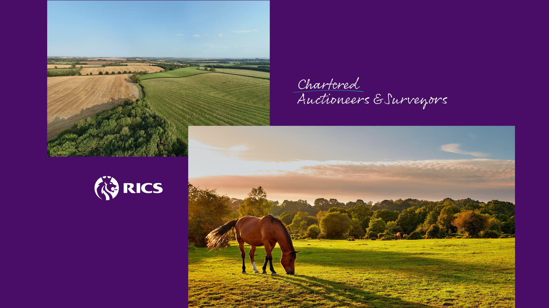 Chartered Auctioneers & Surveyors