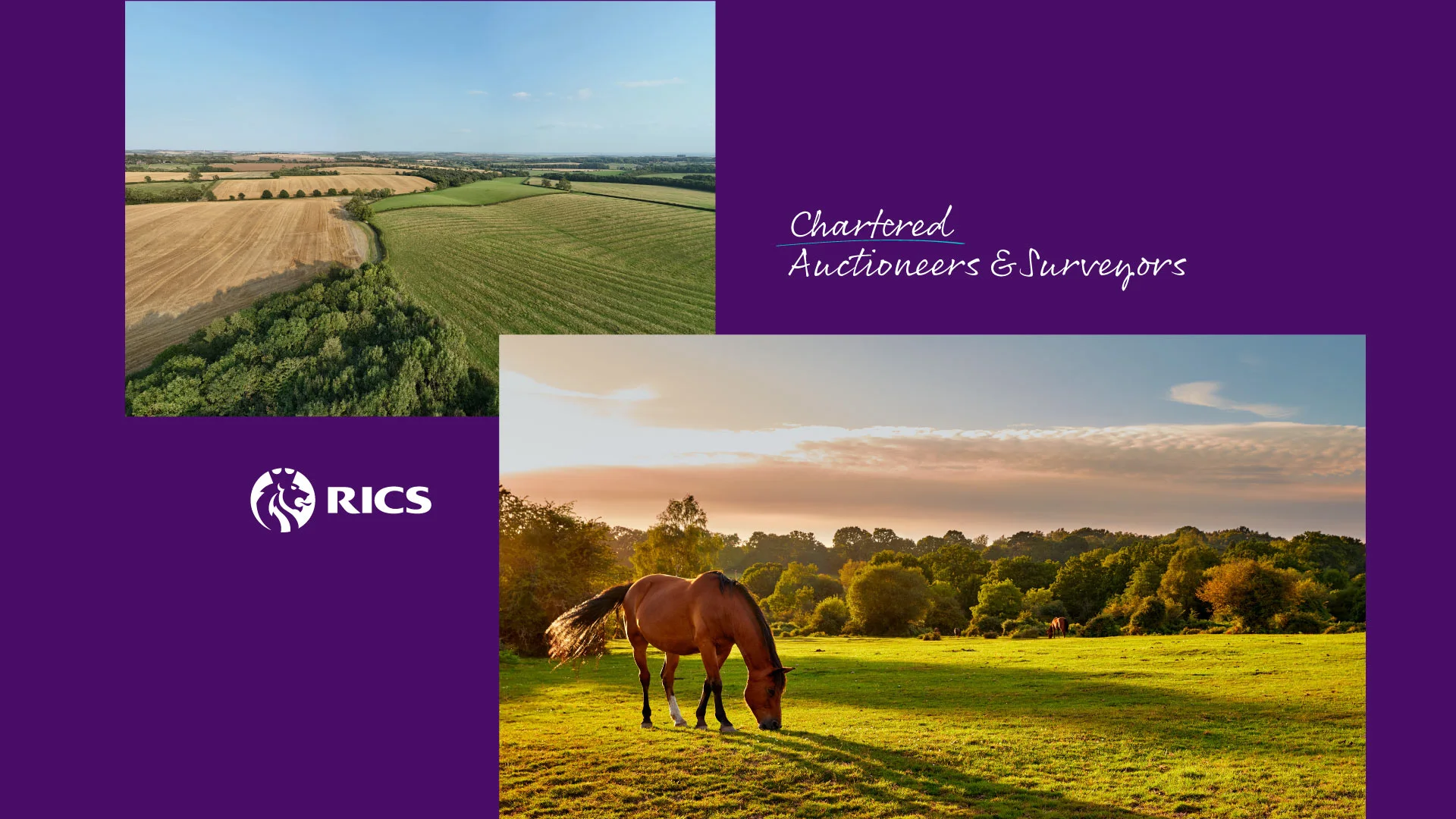 Chartered Auctioneers & Surveyors