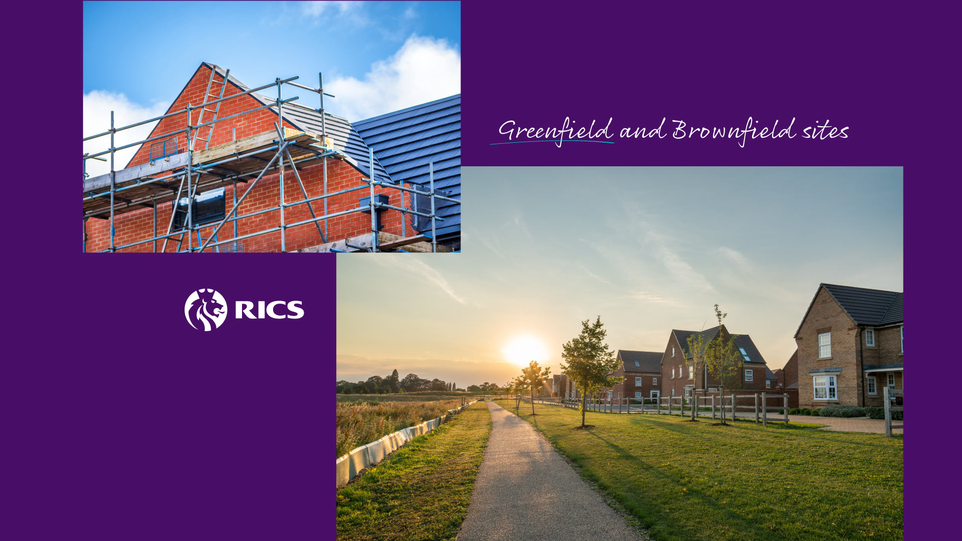 Development services