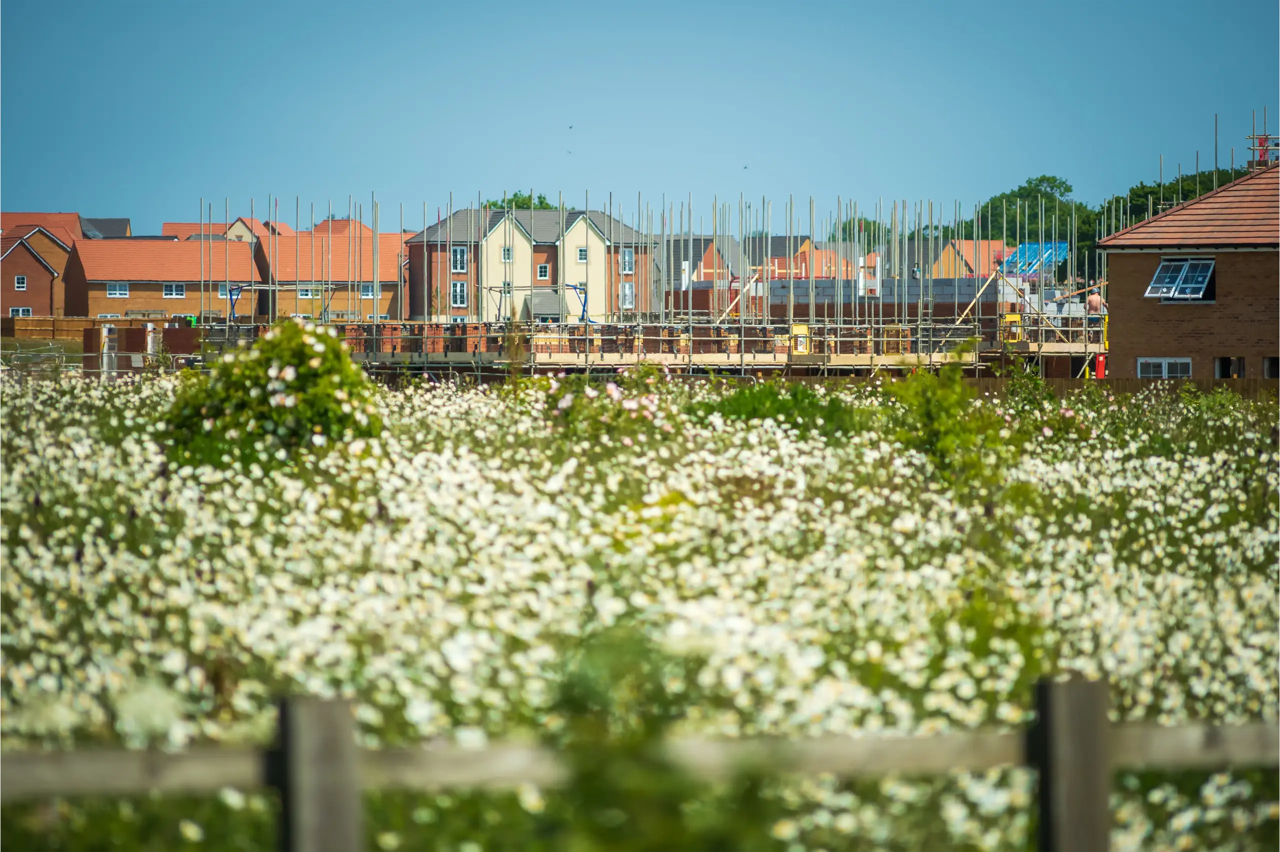 Development Appraisals Viability Reports
