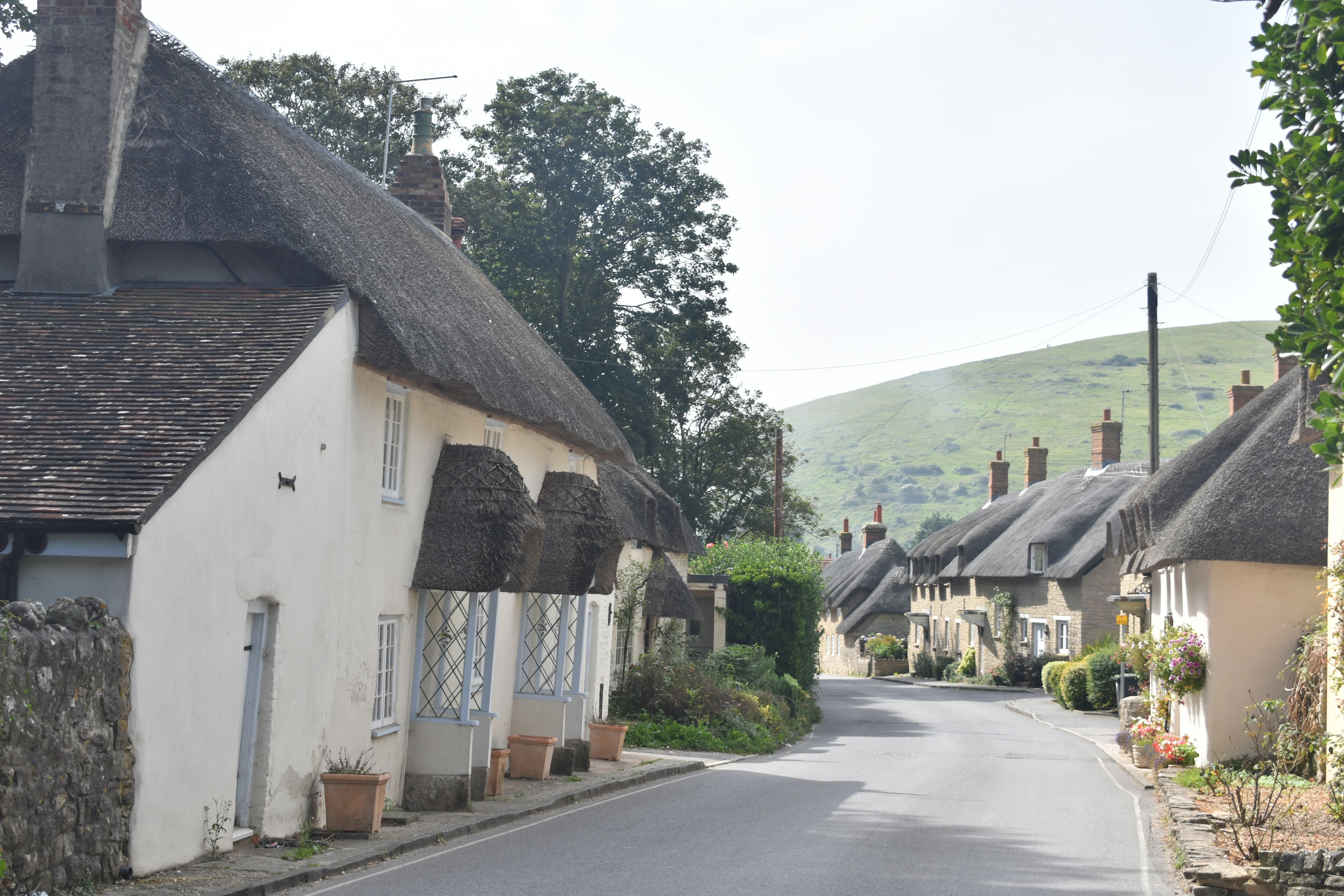 Thatched roof cottage on a village street in the Cotswolds