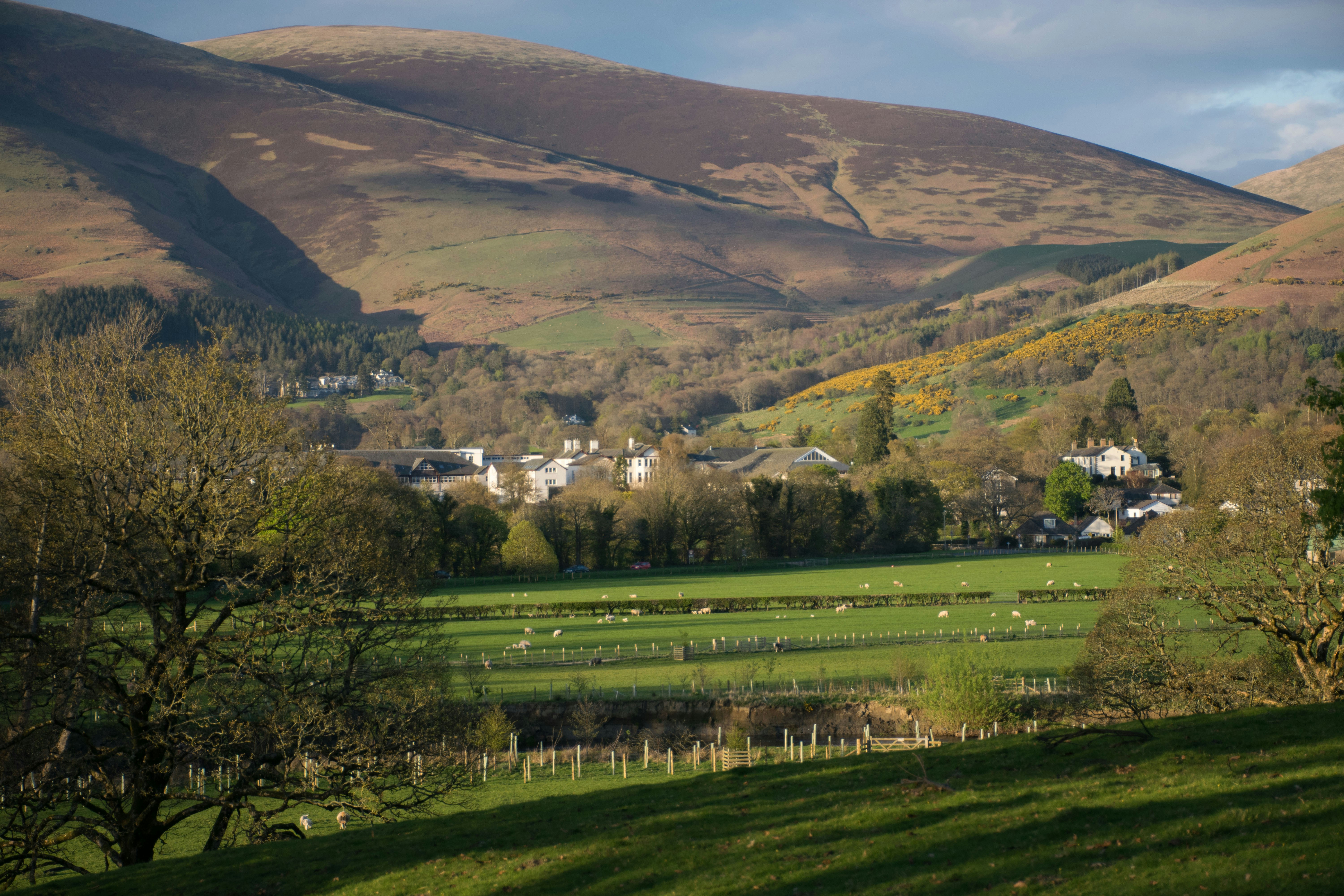 Lake District landscape bathed in golden hour light