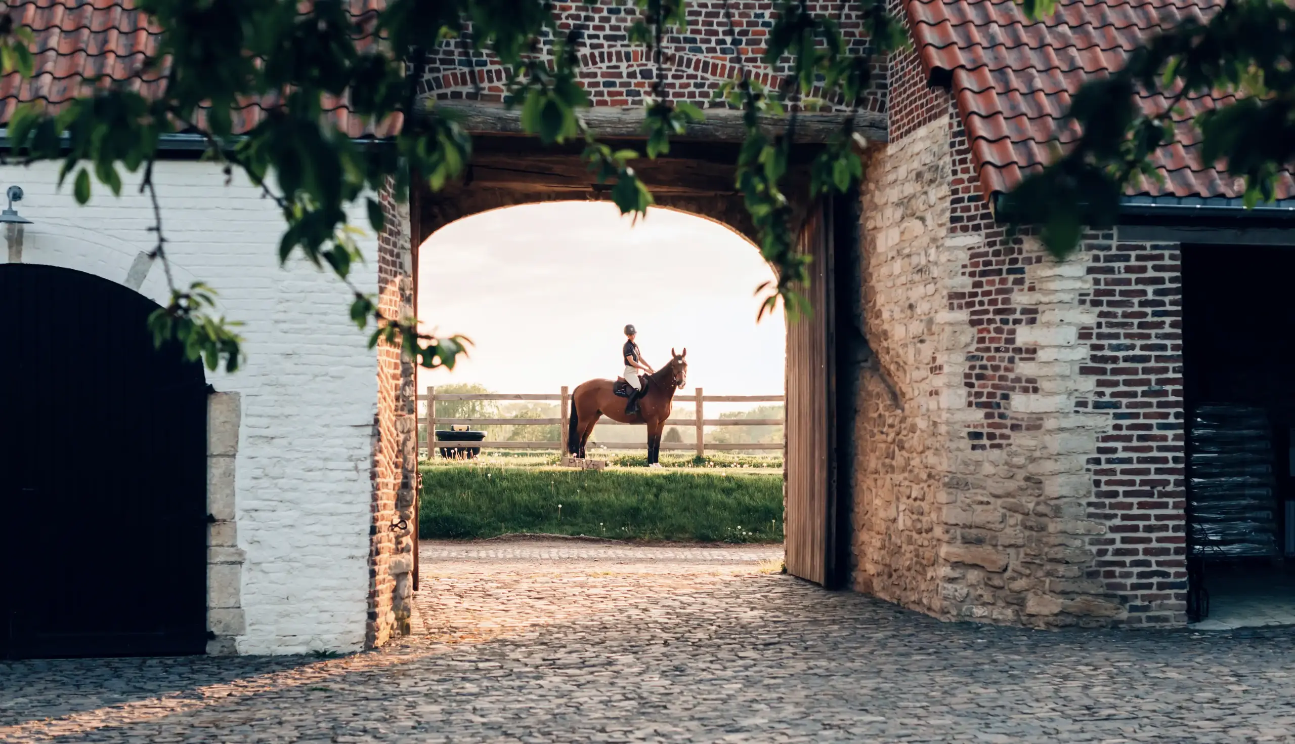 Estate Management