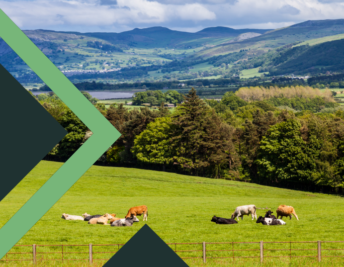 Wales' Sustainable Farming Scheme: What the Universal Actions Mean for You — and How We Can Help