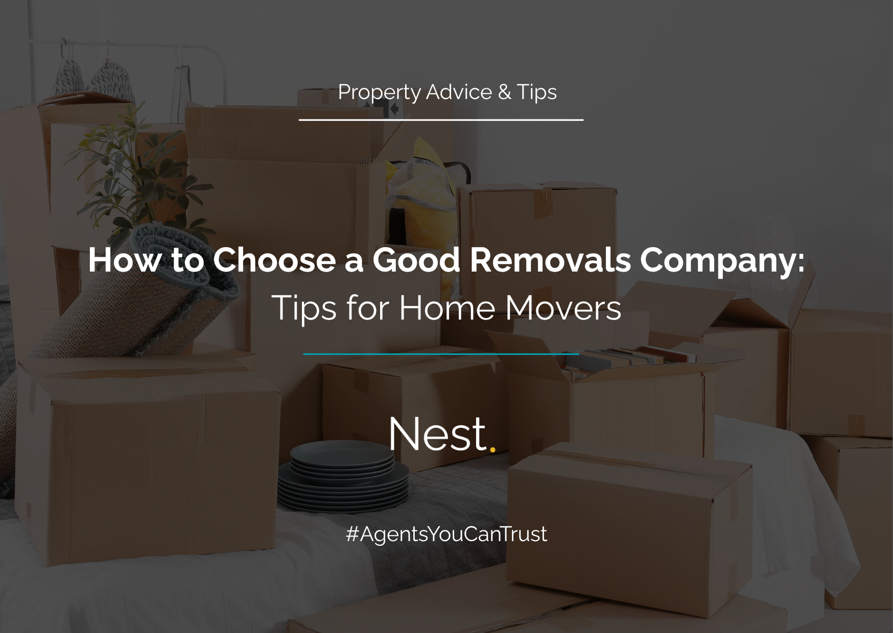 How to Choose a Good Removals Company: Tips for Home Movers