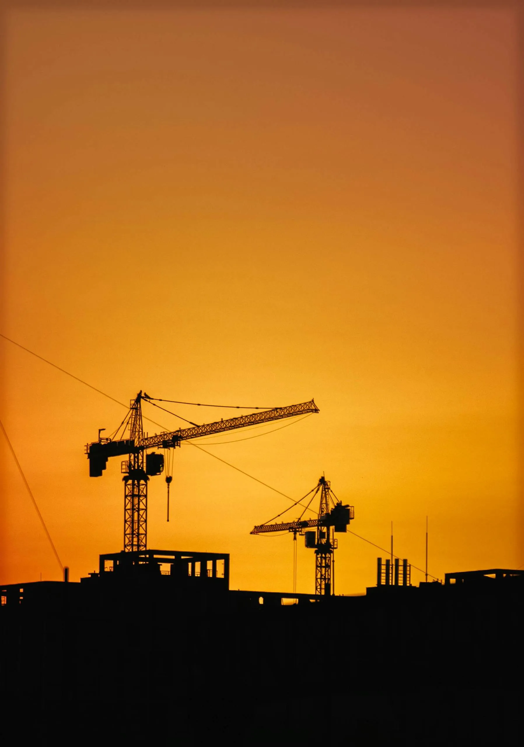 Cranes in the sunset background