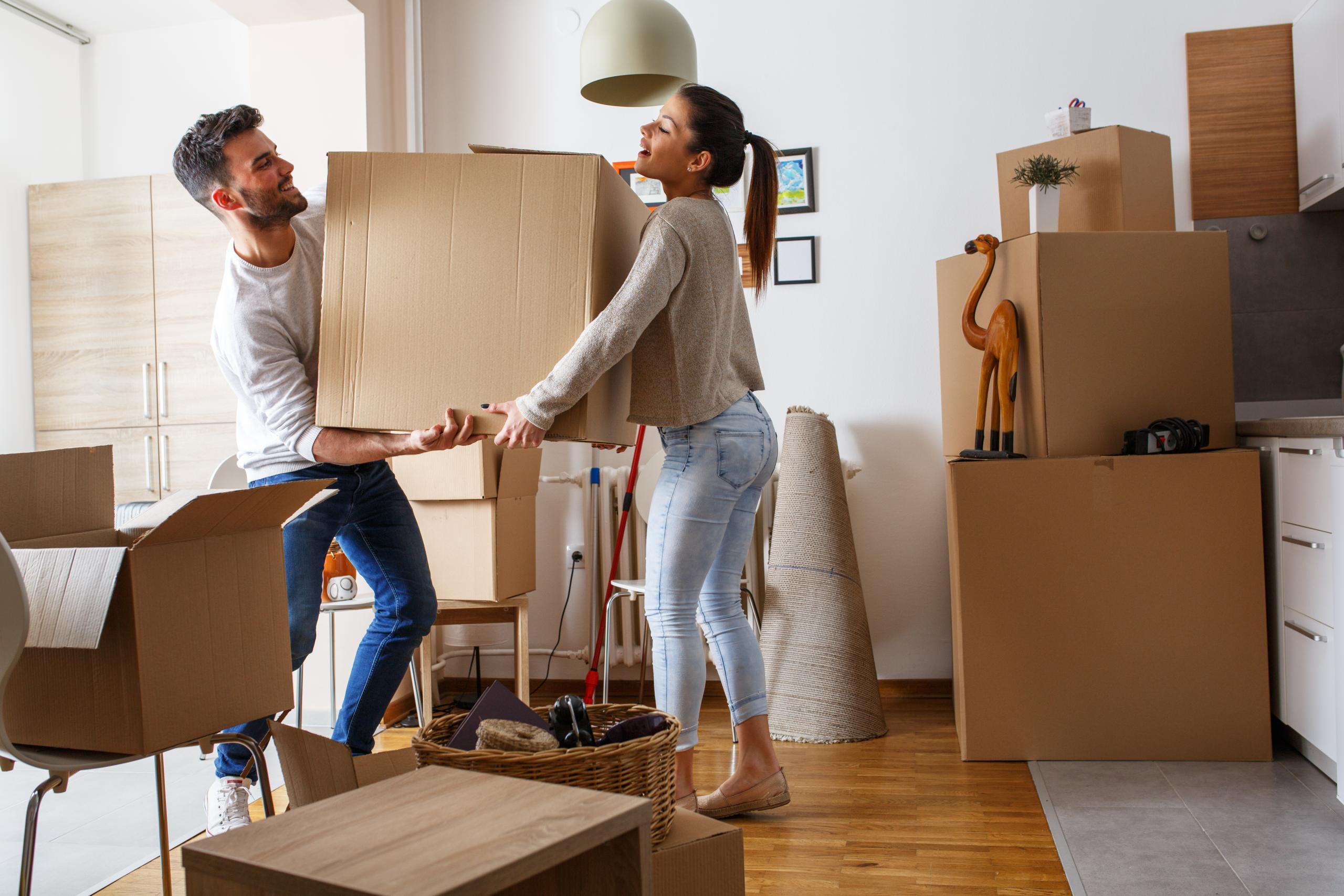 Tenant's Guide to Renting