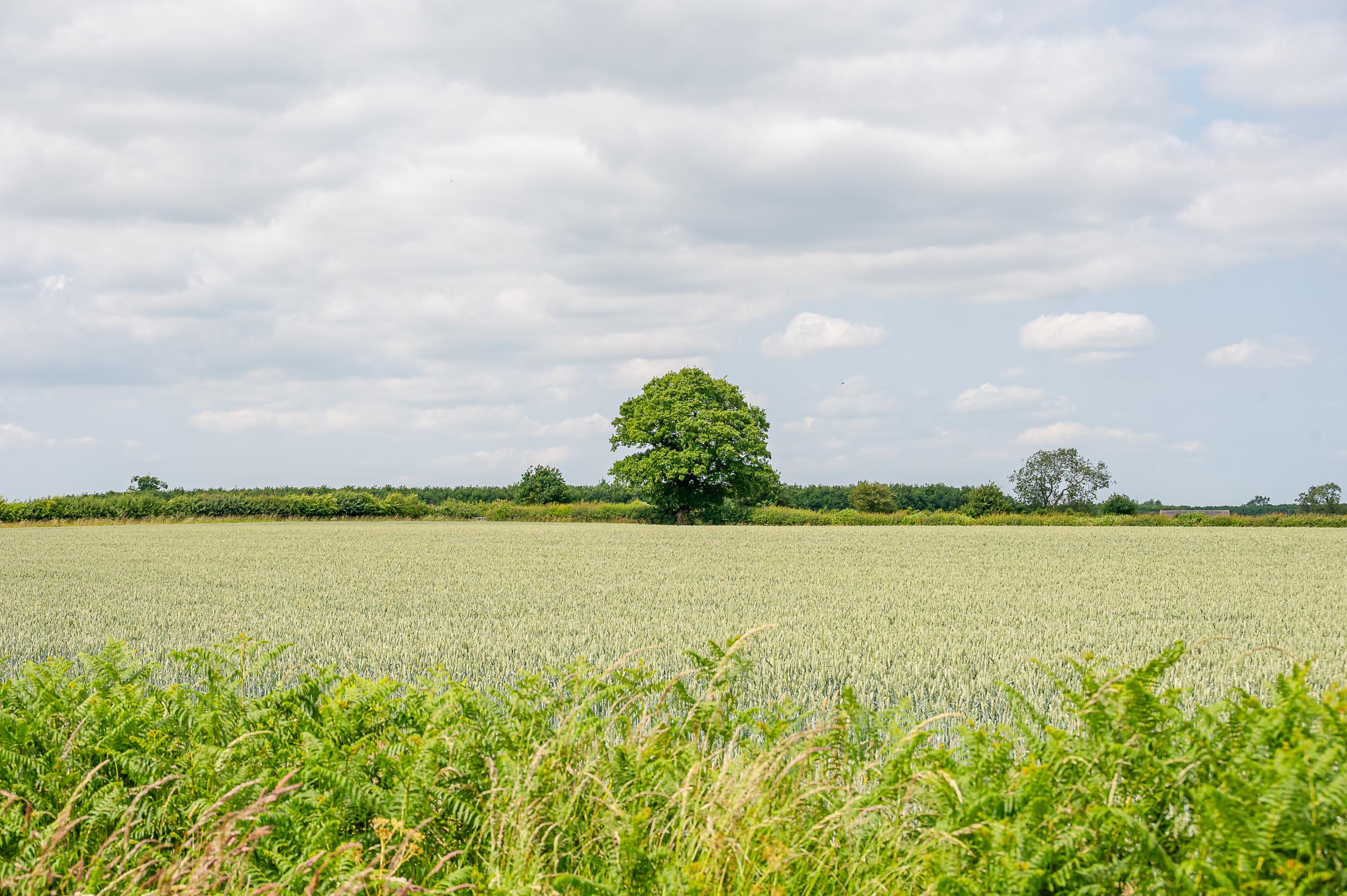 PART ONE Addressing Common Concerns About Selling a Property in York and Tadcaster