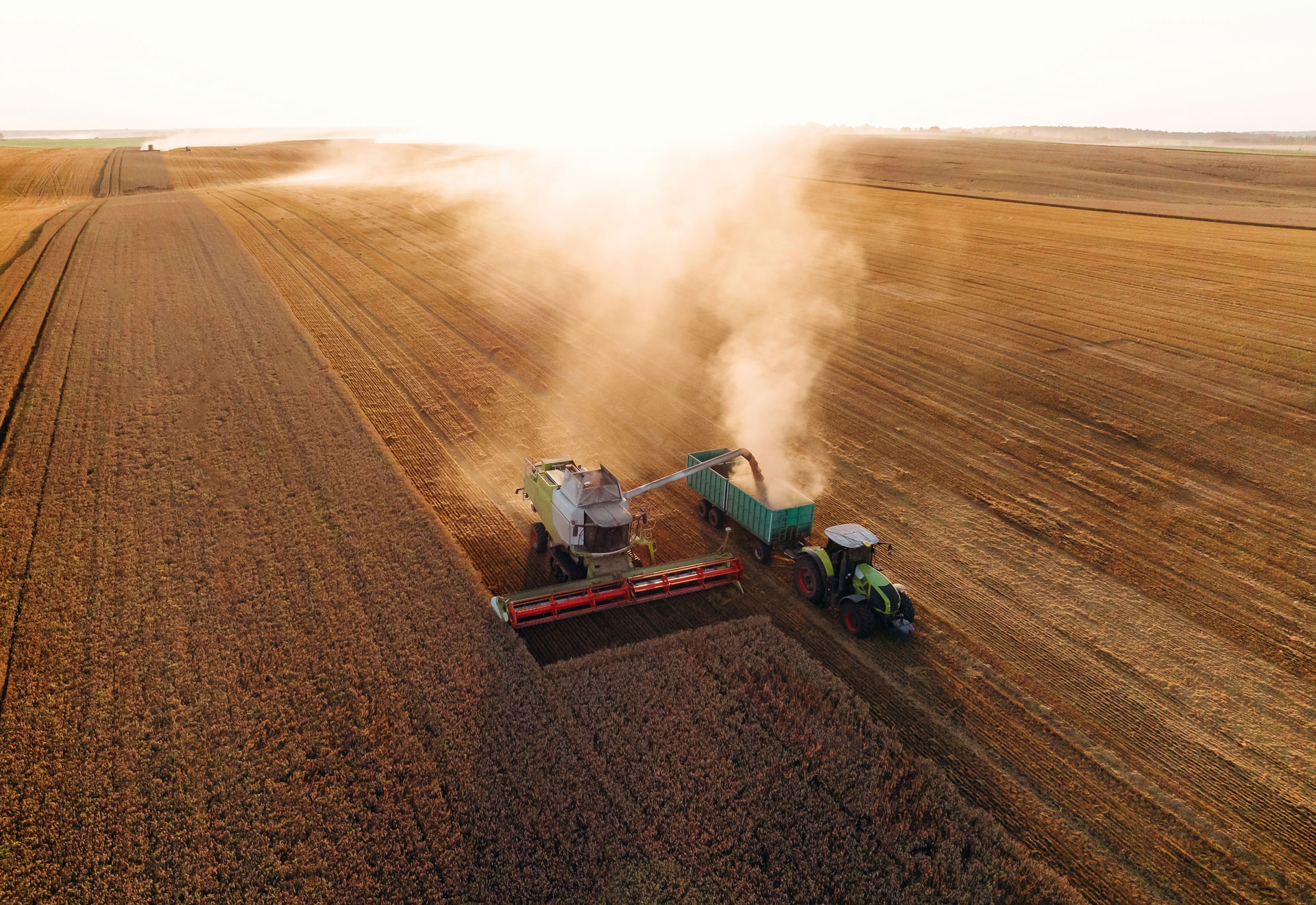 Rural & agricultural expertise