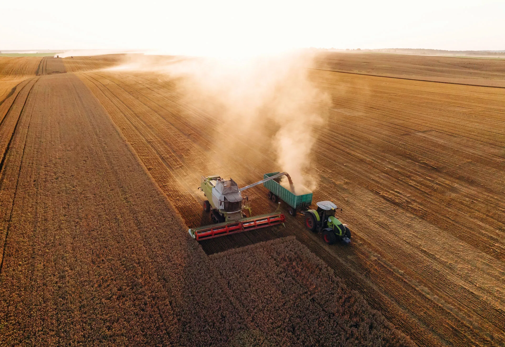 Rural & agricultural expertise