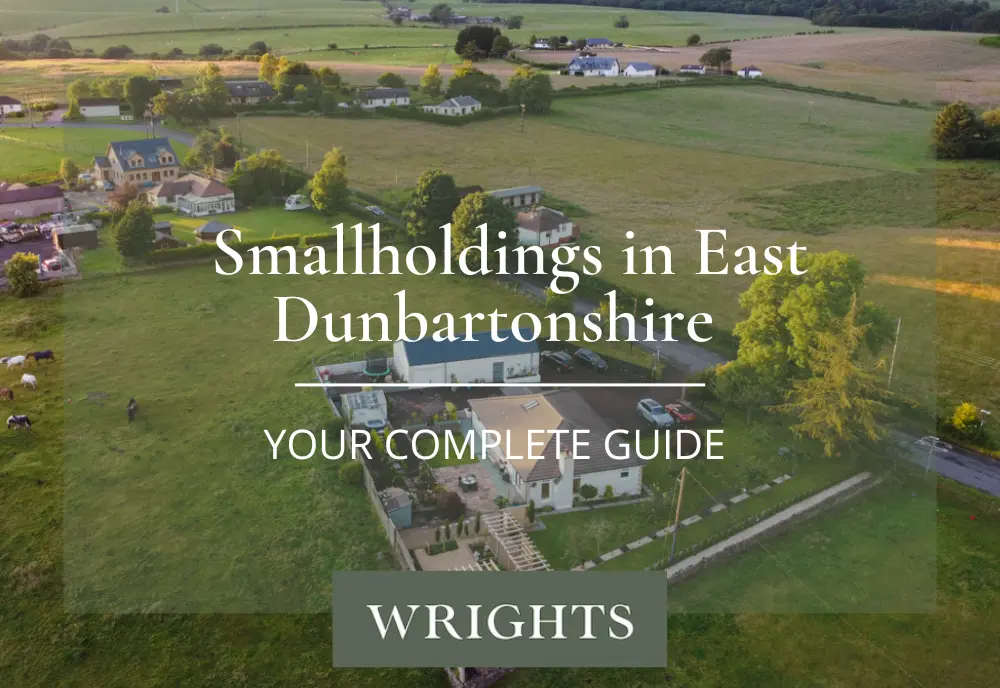 Smallholdings in East Dunbartonshire: Your Complete Guide