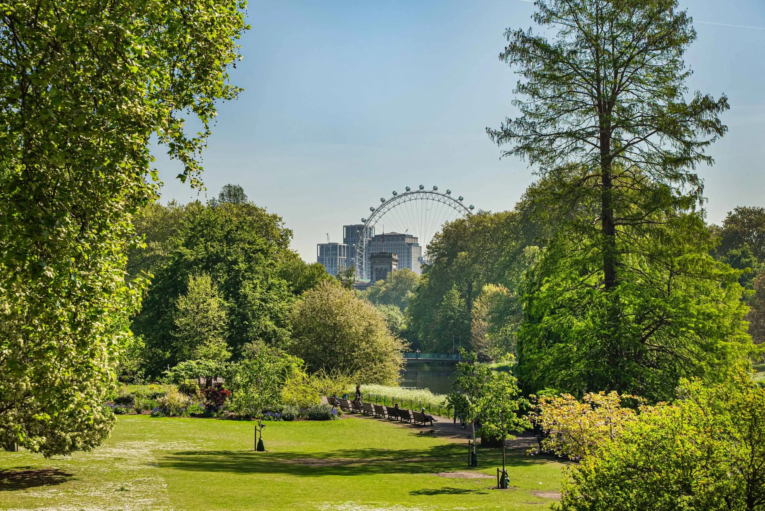 Park with green lawns and trees, river, and London Eye visible in the distance