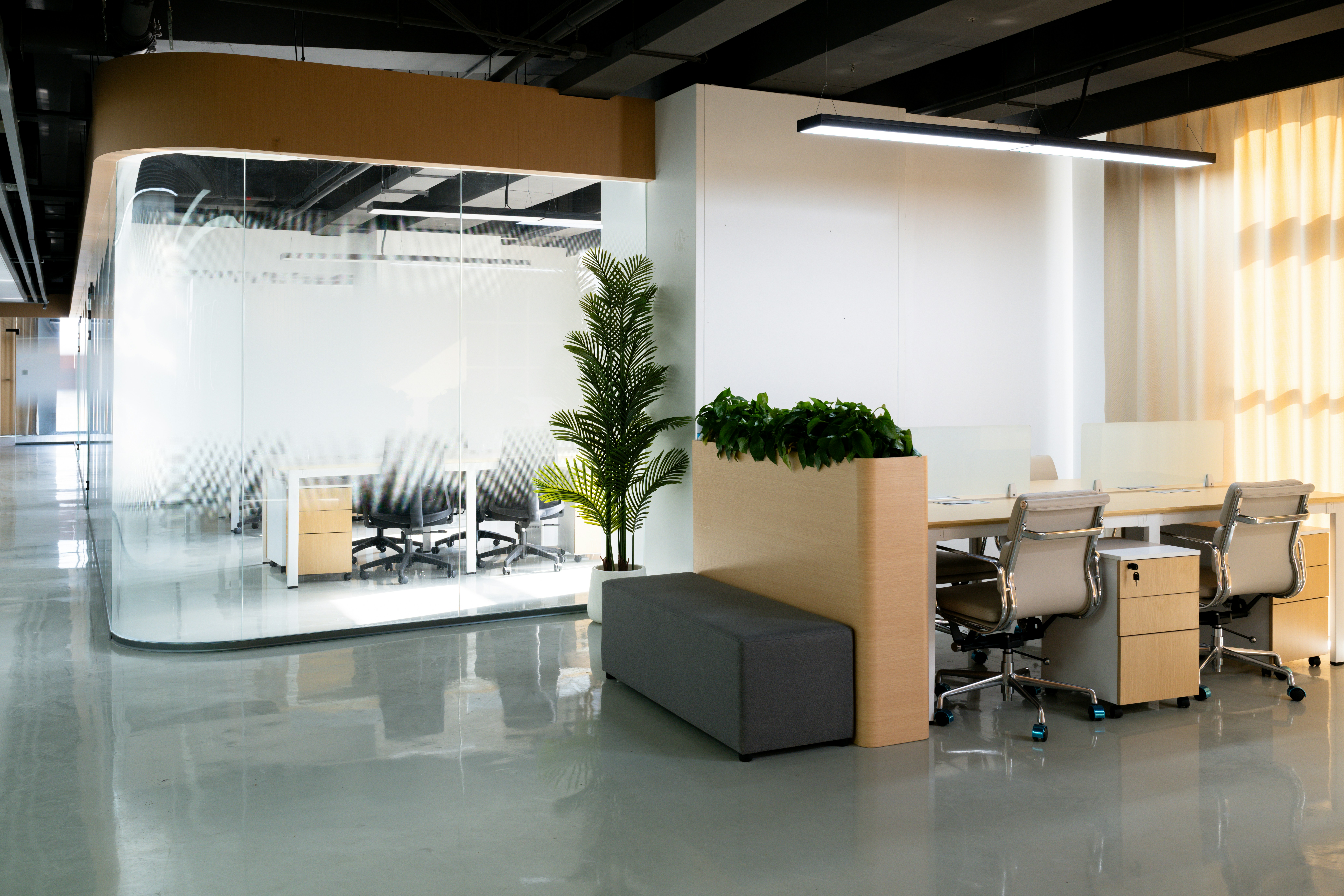 Bright modern office corridor with plants — welcoming environment for a commercial property consultation