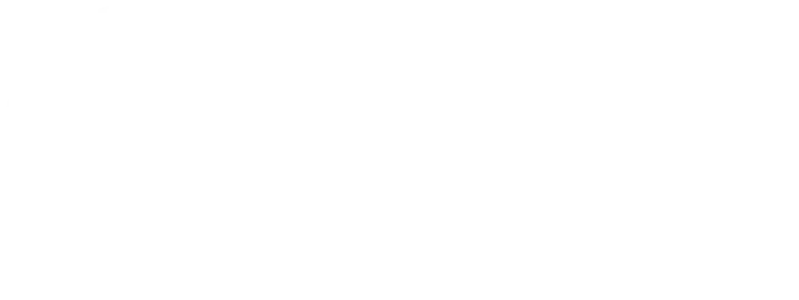 TDS logo