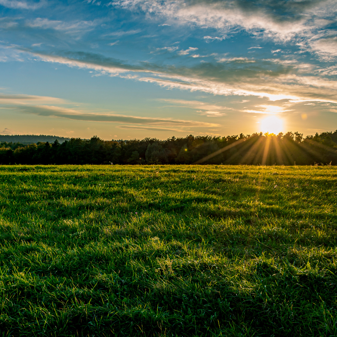 When Is the Best Time to Sell a House?