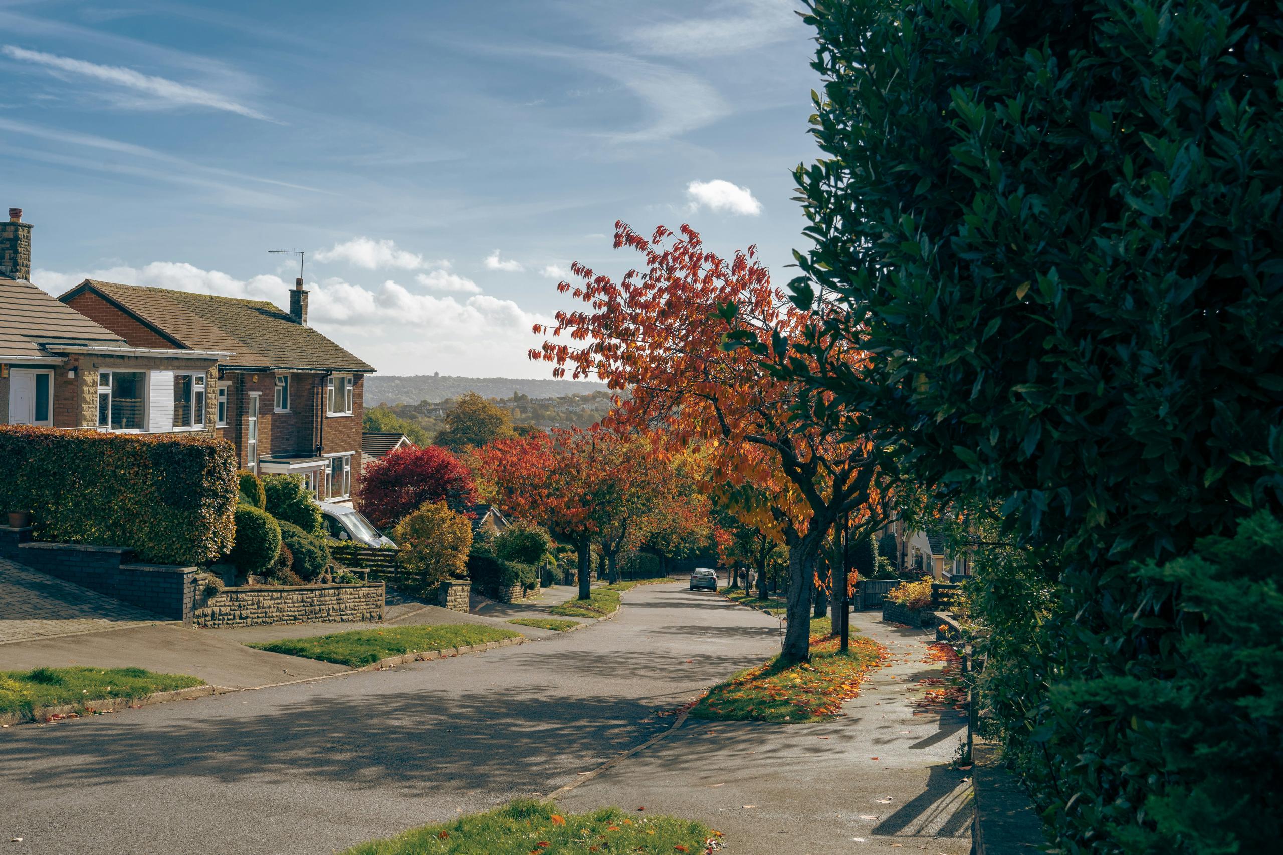 Homelet Landlord Insurance | Williams Lettings