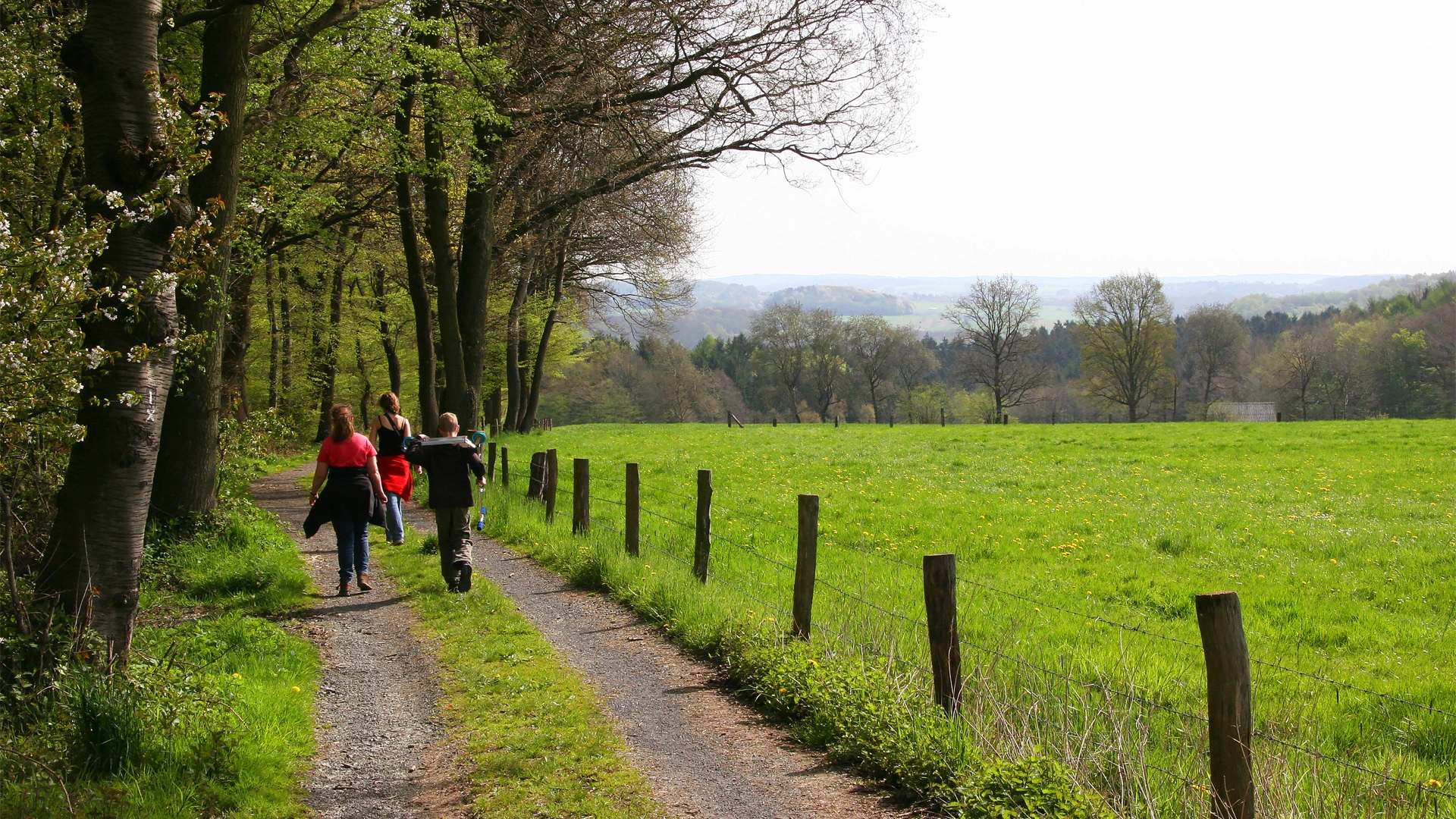 Rights of Way: Advice for landowners